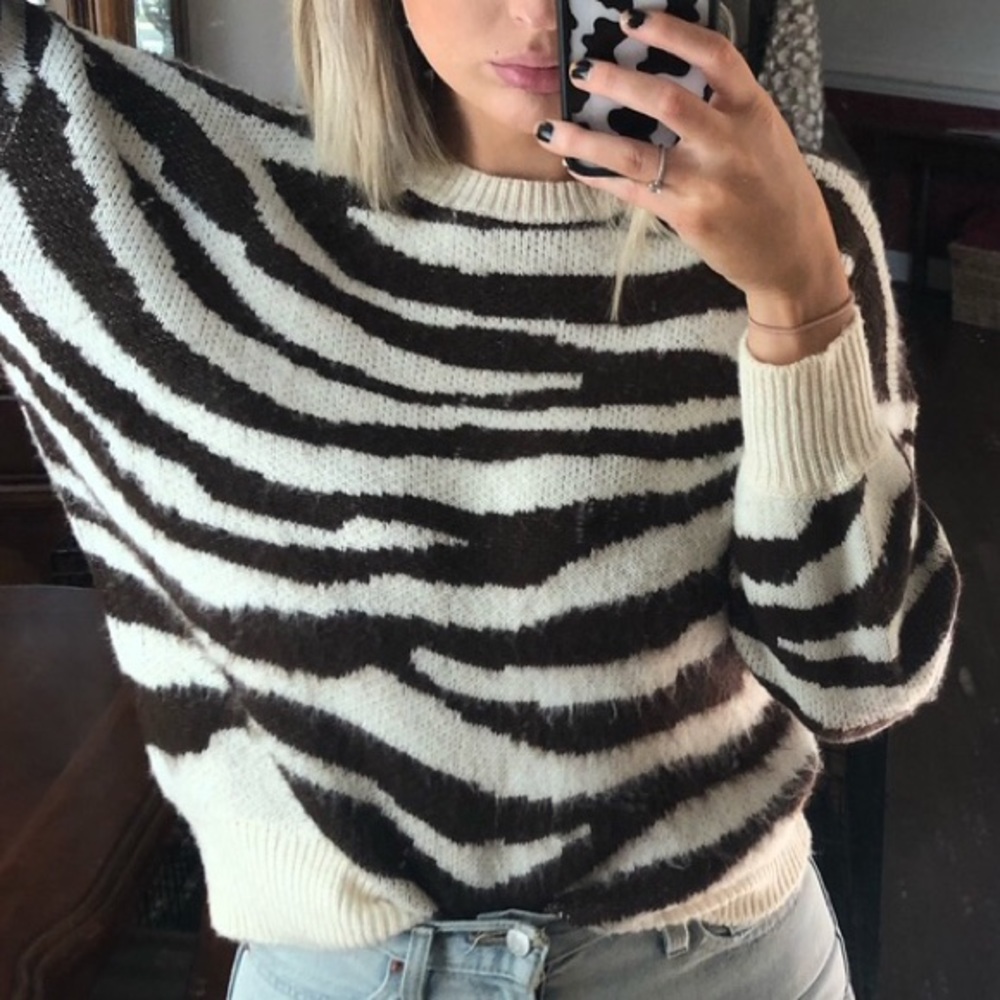Wild Fable Zebra Striped Winter Sweater